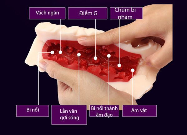 Âm đạo giả Leten silicon trần ruột 3D siêu kích thích giảm stress