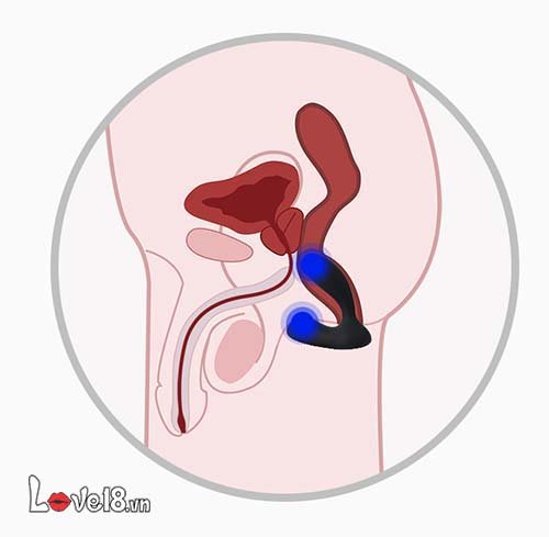 Dụng cụ kích thích hậu môn Svakom Vick Neo cao cấp cho trải nghiệm mới
