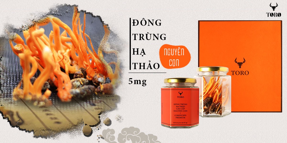 Đông trùng hạ thảo nguyên con 5g bổ dưỡng tăng cường sinh lực