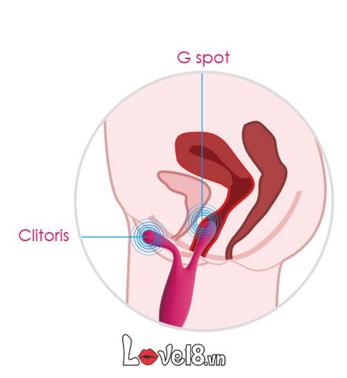 Dụng Cụ Kích Thích Điểm G Svakom Marin Sắc Màu Hứng Khởi Tối Ưu