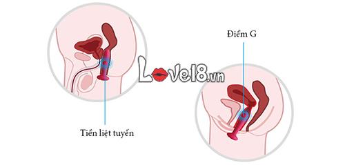 Máy mát xa hậu môn điểm G sưởi ấm Svakom Primo tăng khoái cảm
