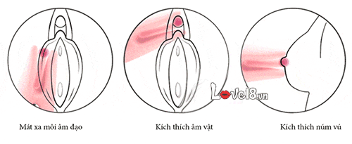 Máy Rung Svakom Kích Thích Nhũ Hoa Điểm G Hưng Phấn