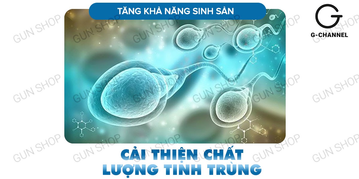 Maxman Chính Hãng Cương Dương Mạnh Chống Xuất Tinh Sớm Hộp 10 Maxman Chính Hãng Cương Dương Mạnh Chống Xuất Tinh Sớm Hộp 10