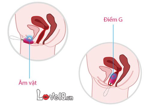 Trứng Rung Svakom Elva Điều Khiển Từ Xa Tốt Nhất Giá Tốt