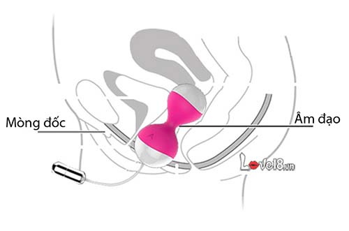 Trứng Rung Massage Điểm G Miu Miu Kích Thích Mua Ngay