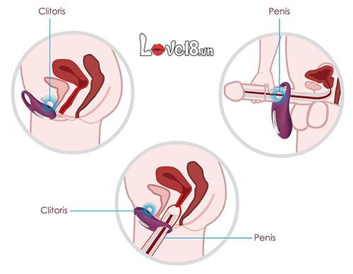 Vòng đeo dương vật cao cấp Svakom Winni giá bao nhiêu