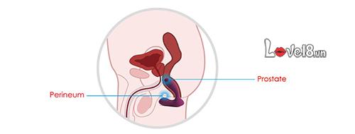  So sánh Máy Rung Hậu Môn Và Điểm G Svakom Vicky mới nhất