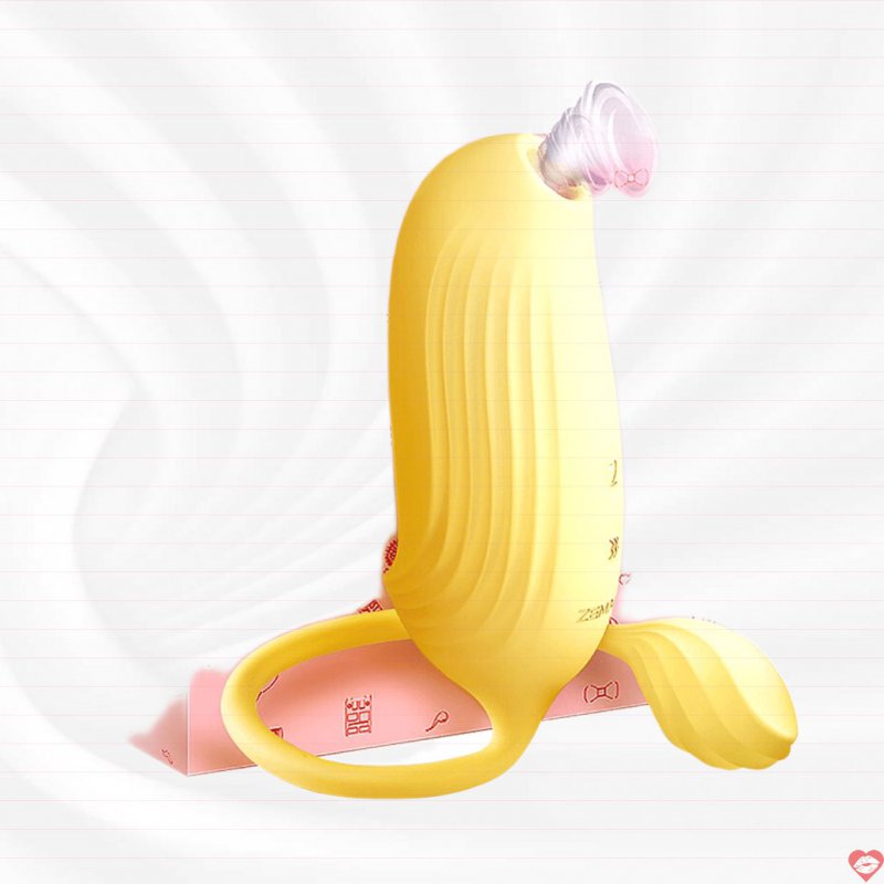 Máy massage Svakom Zemalia Bobo Bird 2 đầu rung hút mạnh