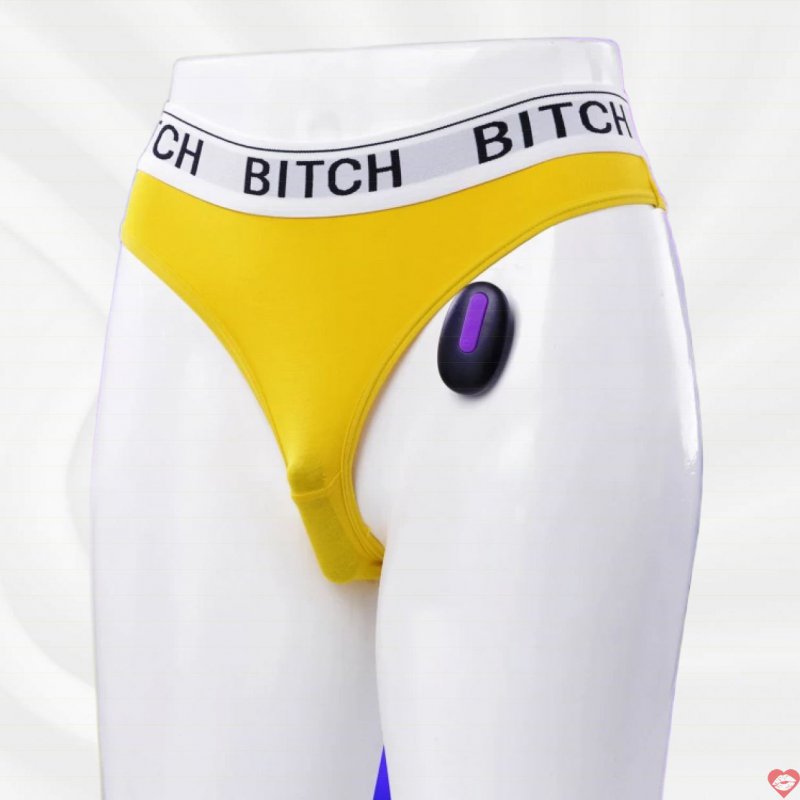 Lovetoy Bitch quần chíp rung điều khiển từ xa mọi lúc mọi nơi