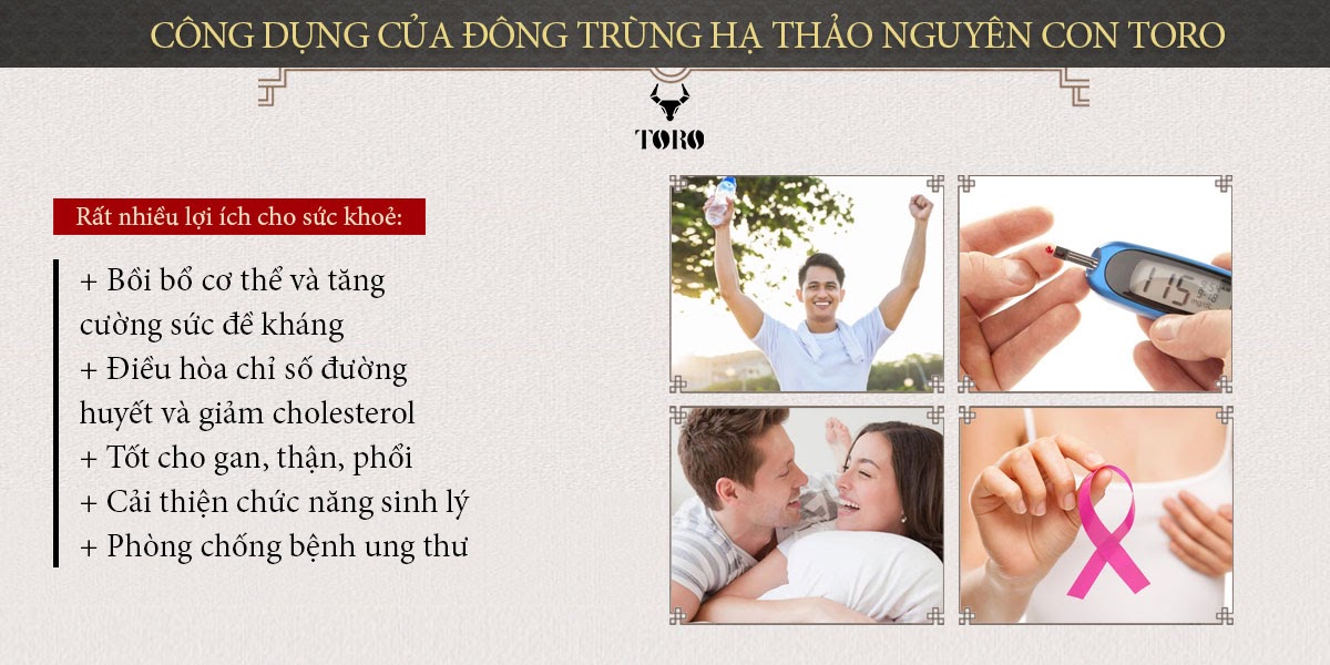  Bảng giá Đông trùng hạ thảo cao cấp nguyên con - Tăng cường sinh lý bồi bổ cơ thể - 5g cao cấp